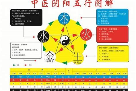 丁未五行|丁未年五行属性 丁未年出生的人命运详解